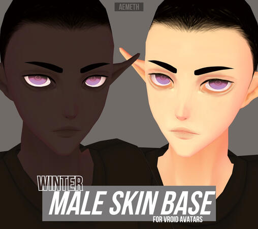 aemeth Winter Male Skin Base